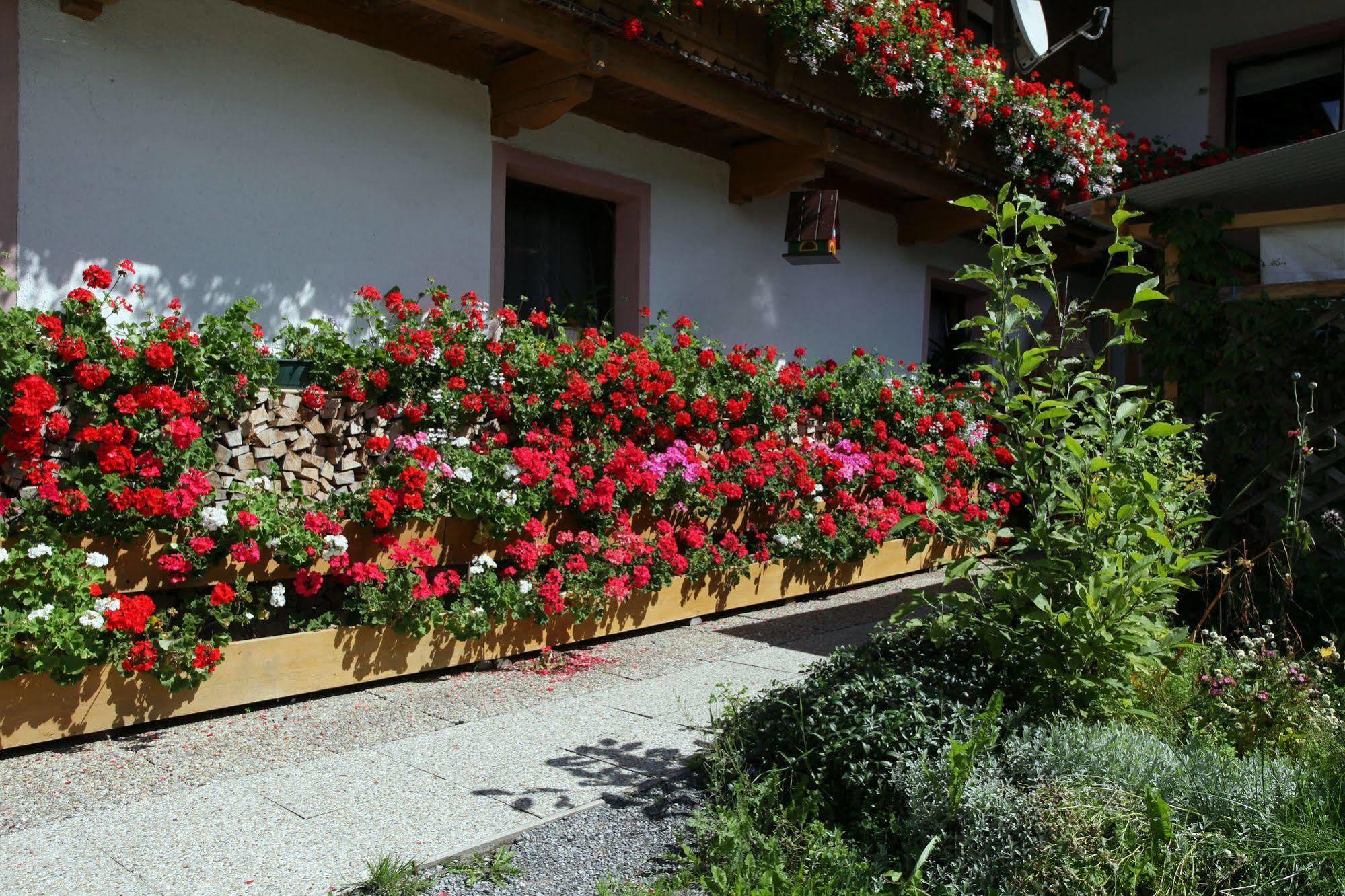 Migglwieshof Kelchsau Exterior photo